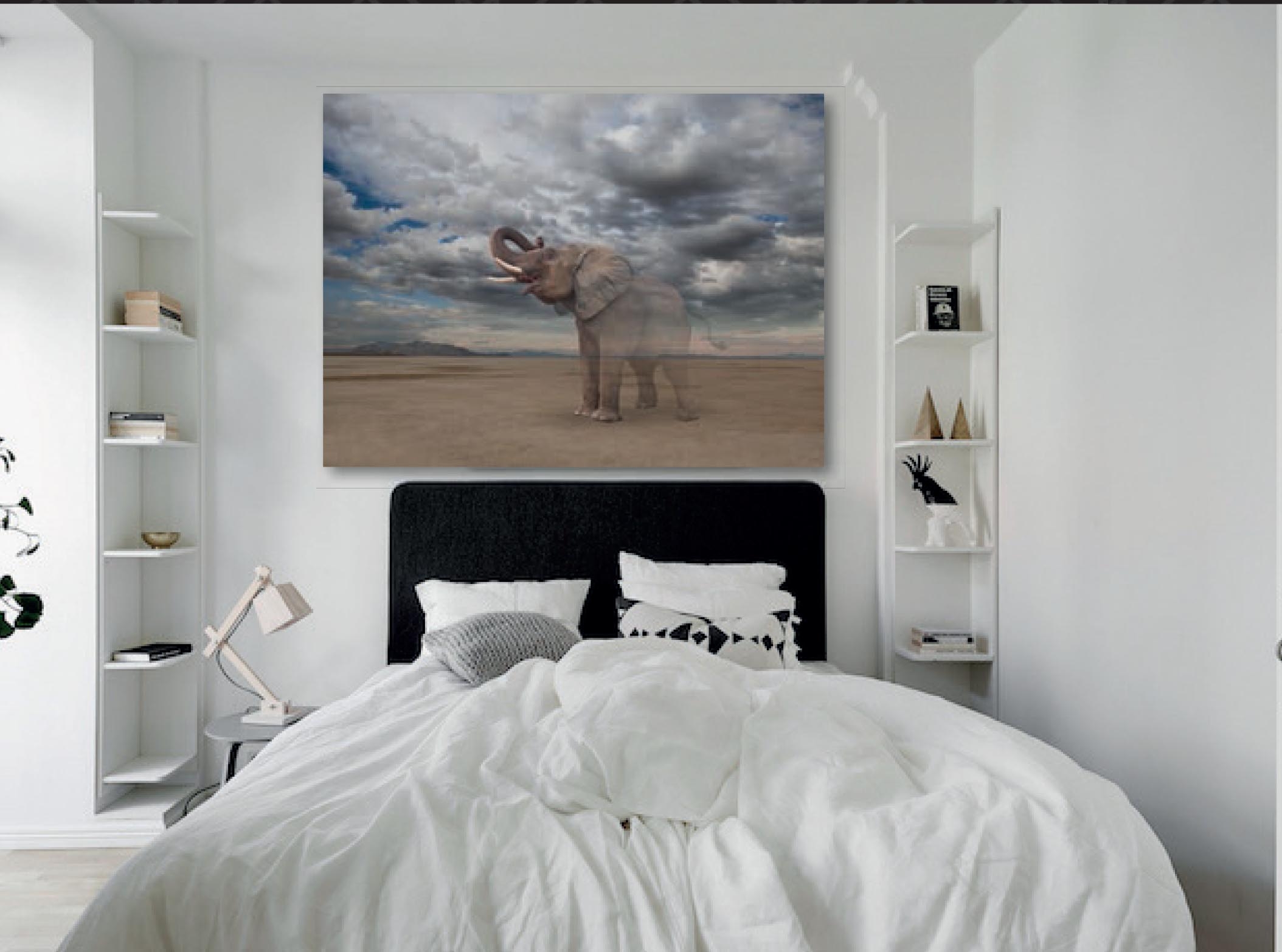 Tableau d'exception, objet originaux, tapis haut de gamme magasin ...