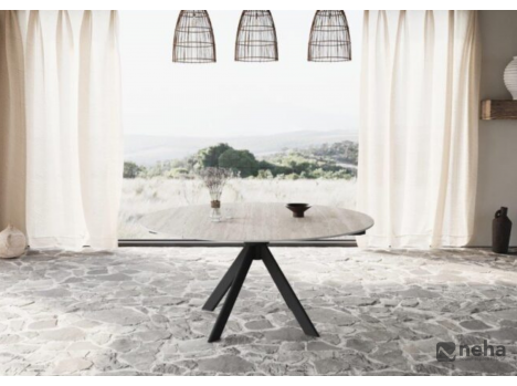 Table ronde Paloma