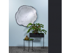 Miroir tronc d'arbre