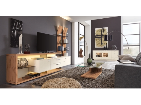 séjour moderne et contemporain blanc et bois 