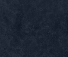 Prima bleu