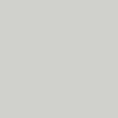 GRIS 7035
