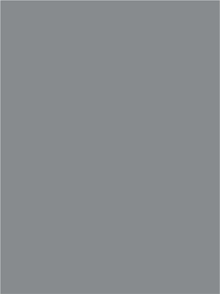 GRIS MOYEN